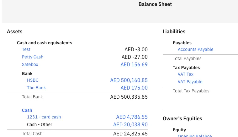 Screenshot of the balance sheet report from the ERP